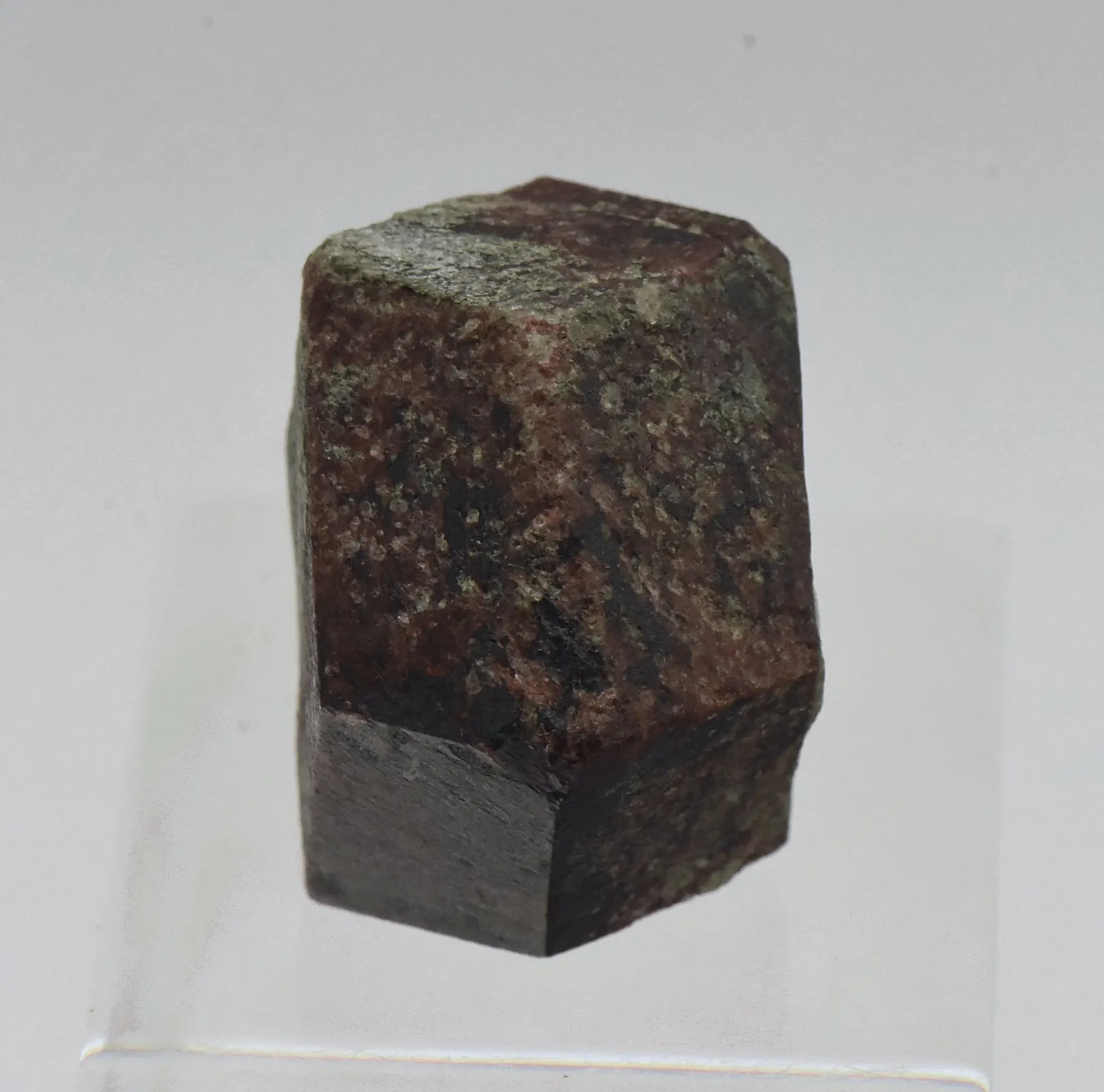 Andradite Garnet Crystal Mineral Specimen - Austria