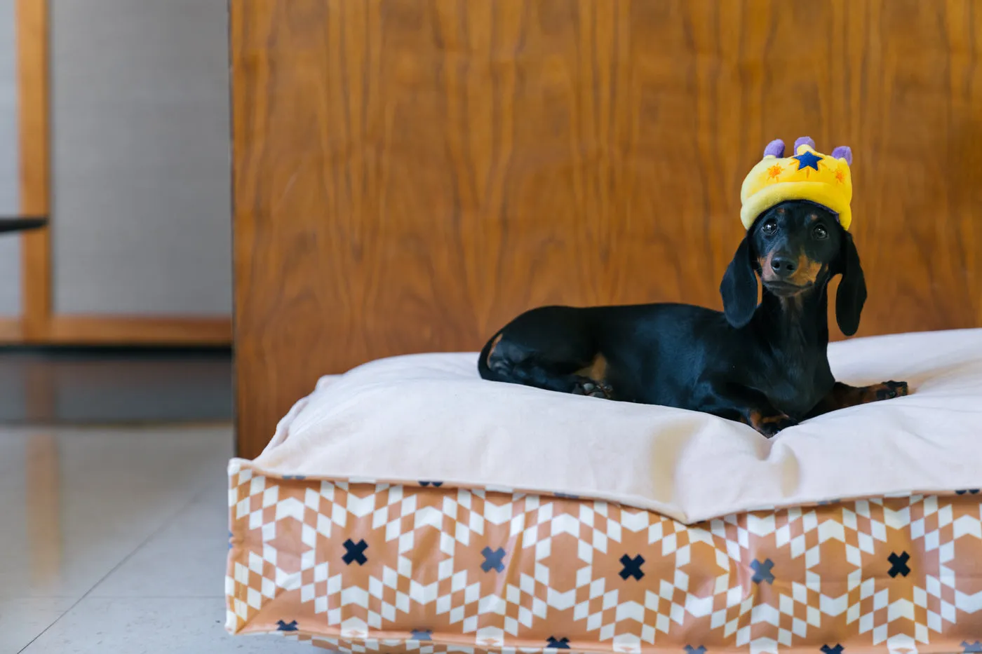 Mini Party Time Canine Crown